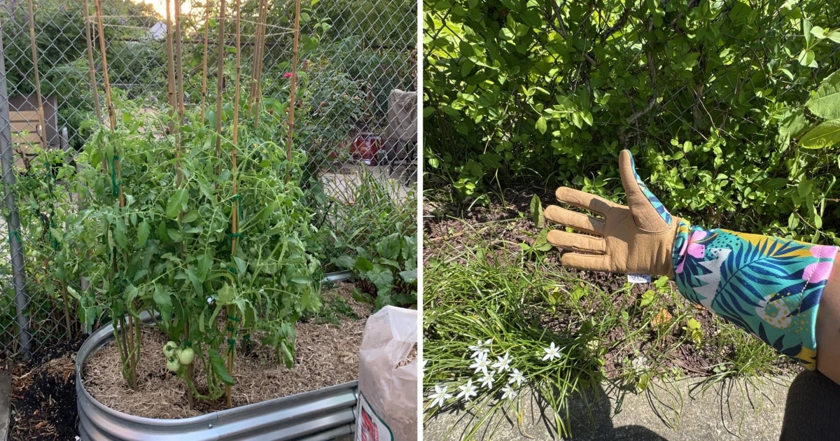 Everything you need to start your garden this spring