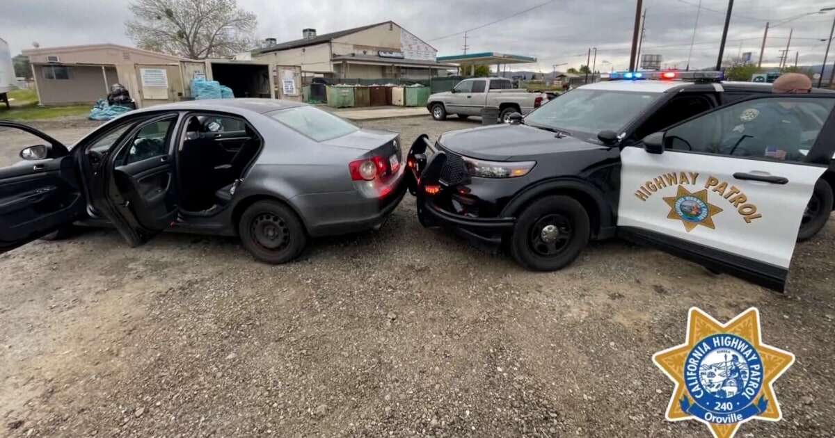 9-year-old driver pulled over by California police