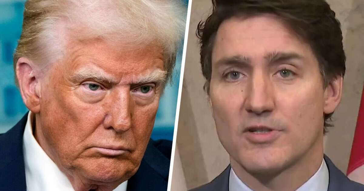 'This is a very dumb thing to do': Trudeau slams Trump's tariffs