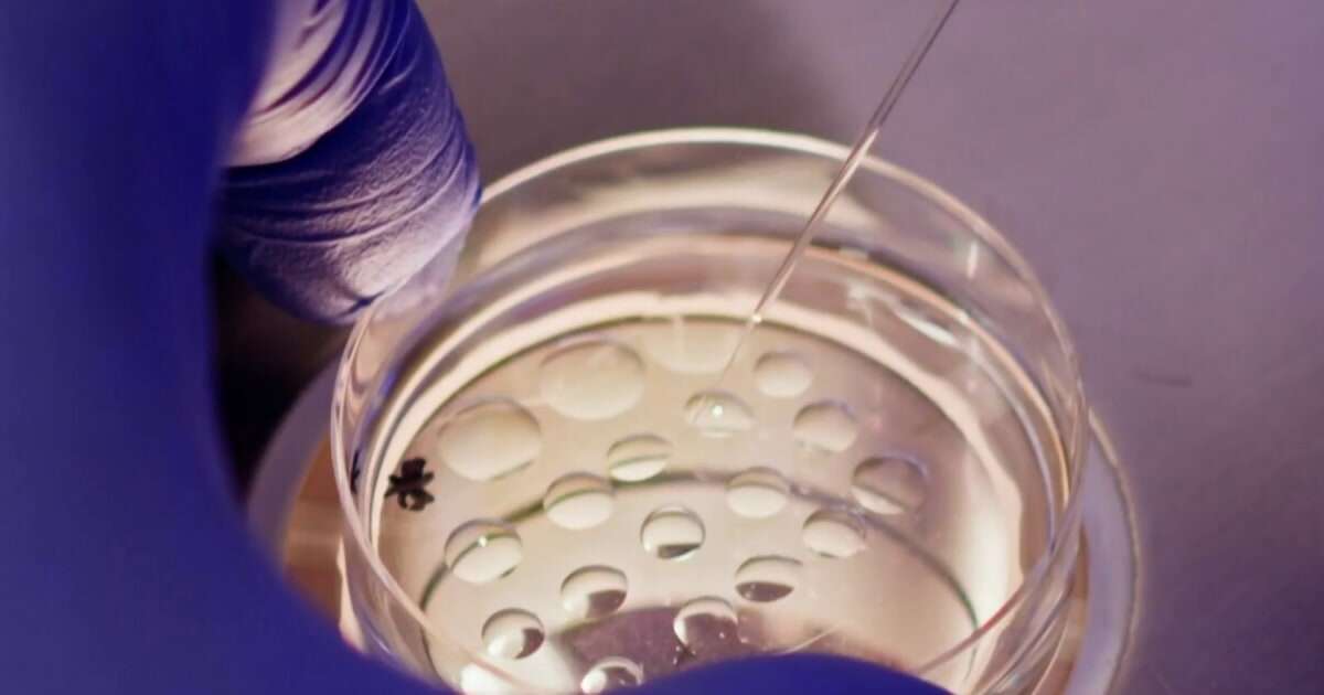 NBC News tracks errors at fertility clinics nationwide