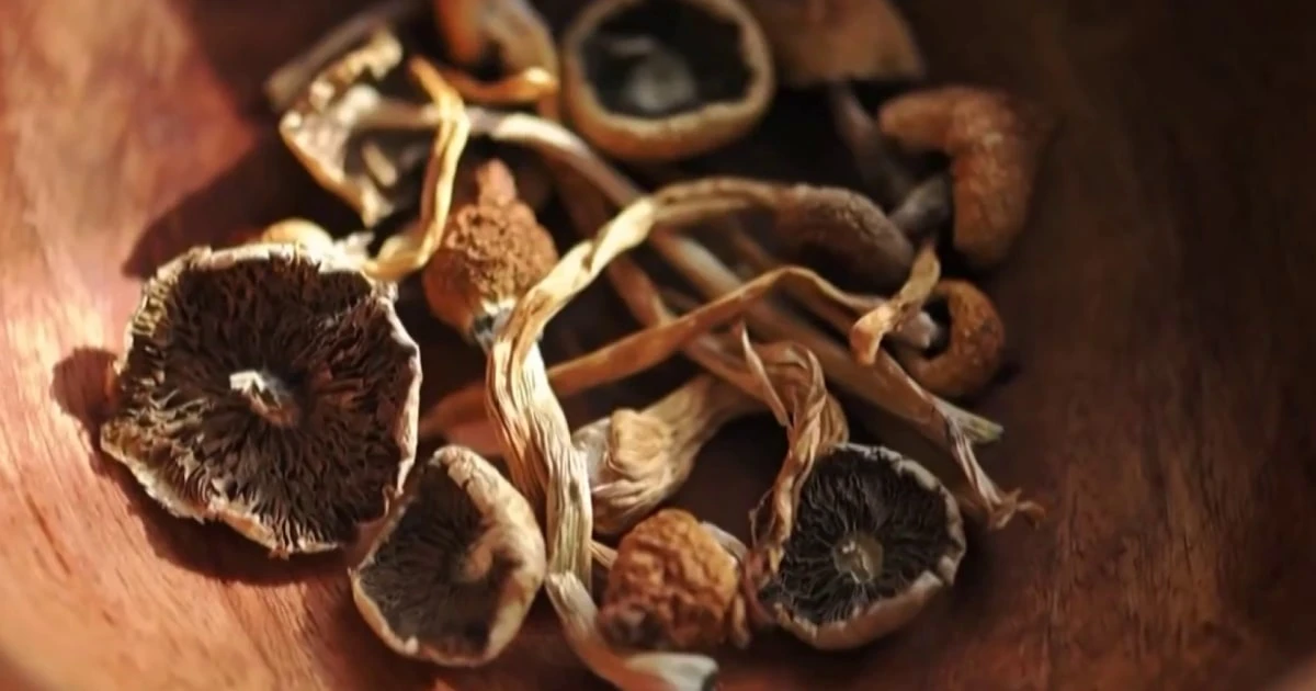 FDA grants quick review for 3 psychedelic drug trials