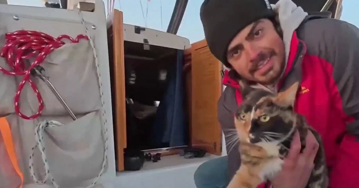 Man and his cat go viral for videos of their sailing adventure around the world