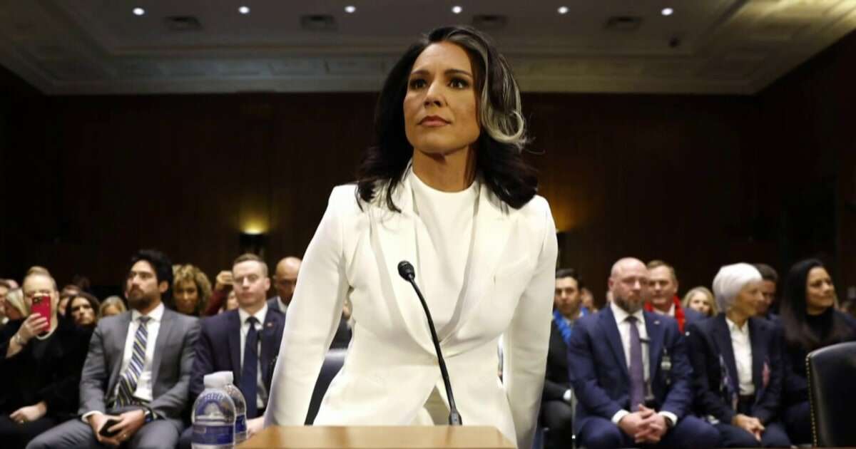 Tulsi Gabbard questioned on international affairs and intelligence issues at hearing