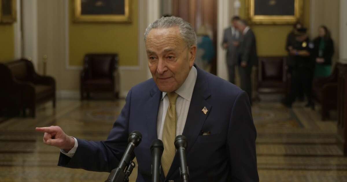 Schumer on Zelenskyy's call for support: 'He needs the aid quickly'