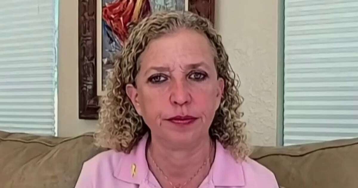 Florida Supreme Court’s ruling ‘essentially’ a total abortion ban: Rep. Wasserman Schultz