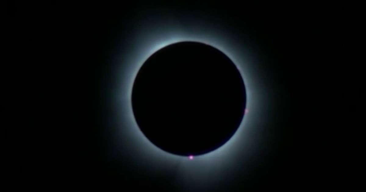 Animals active as eclipse reaches totality in Little Rock, Arkansas