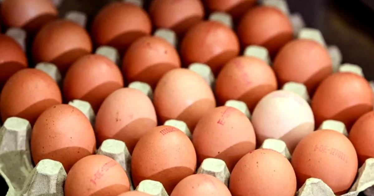 Nationwide egg shortage ahead of Thanksgiving  