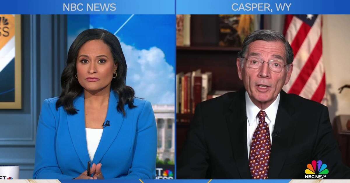 Trump’s mass deportation plan is ‘where we need to start,’ says Sen. Barrasso