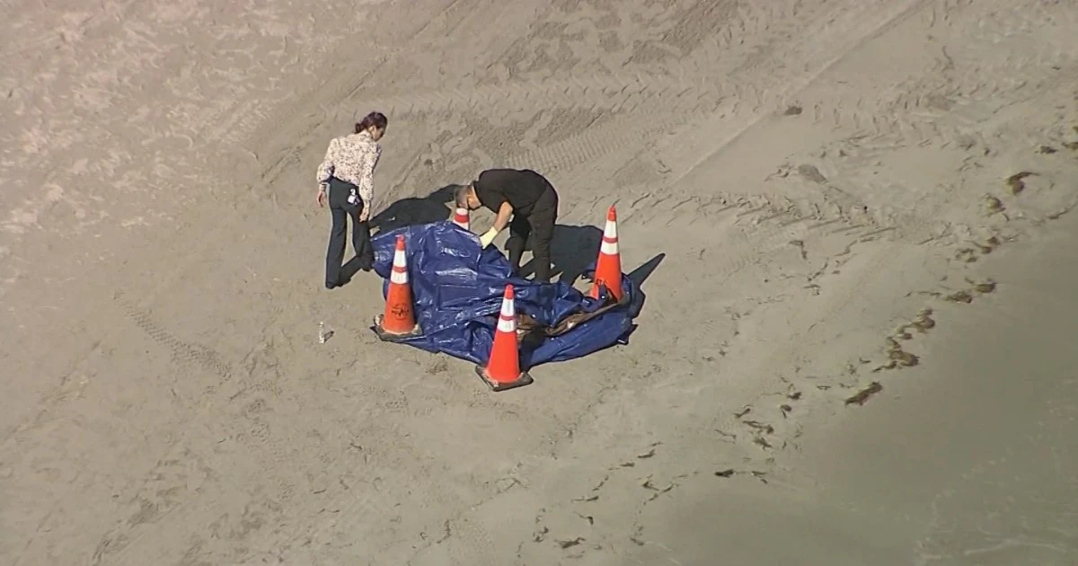 Human head washes ashore on Florida beach