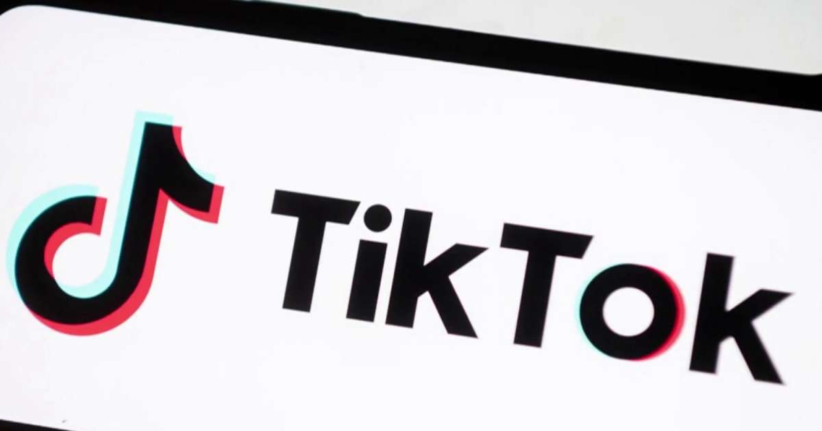 TikTok fights law that could ban app in U.S. in crucial hearing