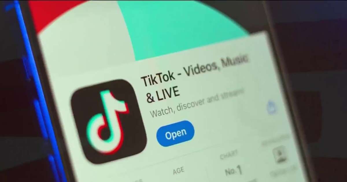 What would a TikTok ban in the U.S. really mean?