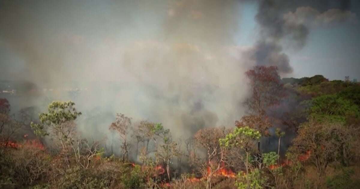 Record number of fires rage across South America