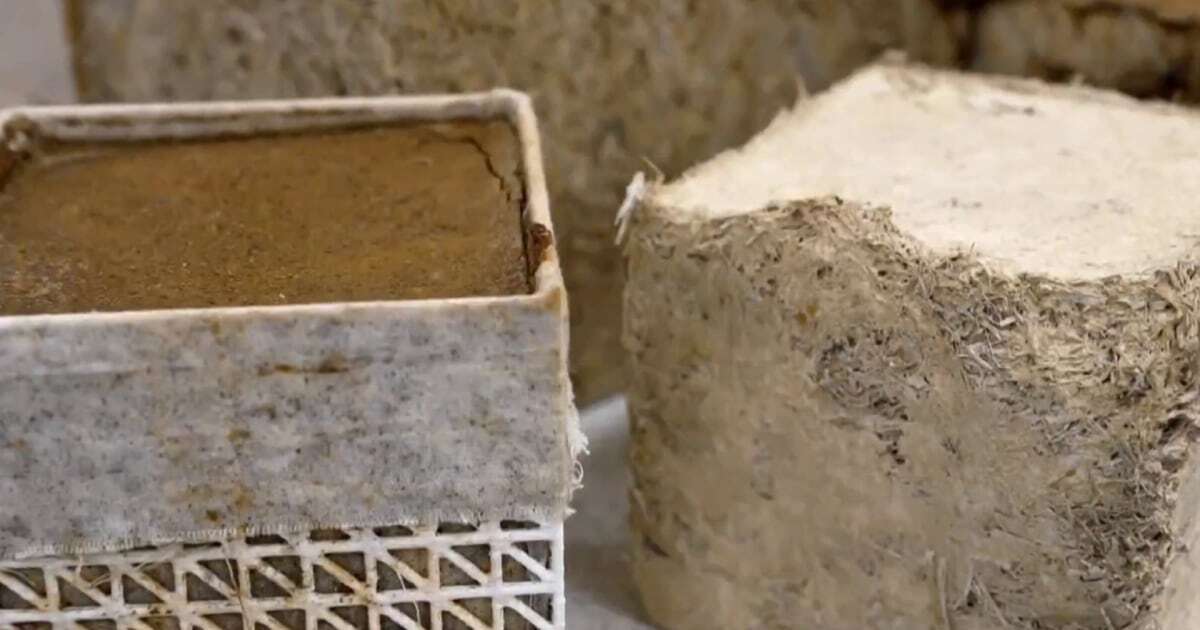 Concrete made from sugarcane could help fight climate change