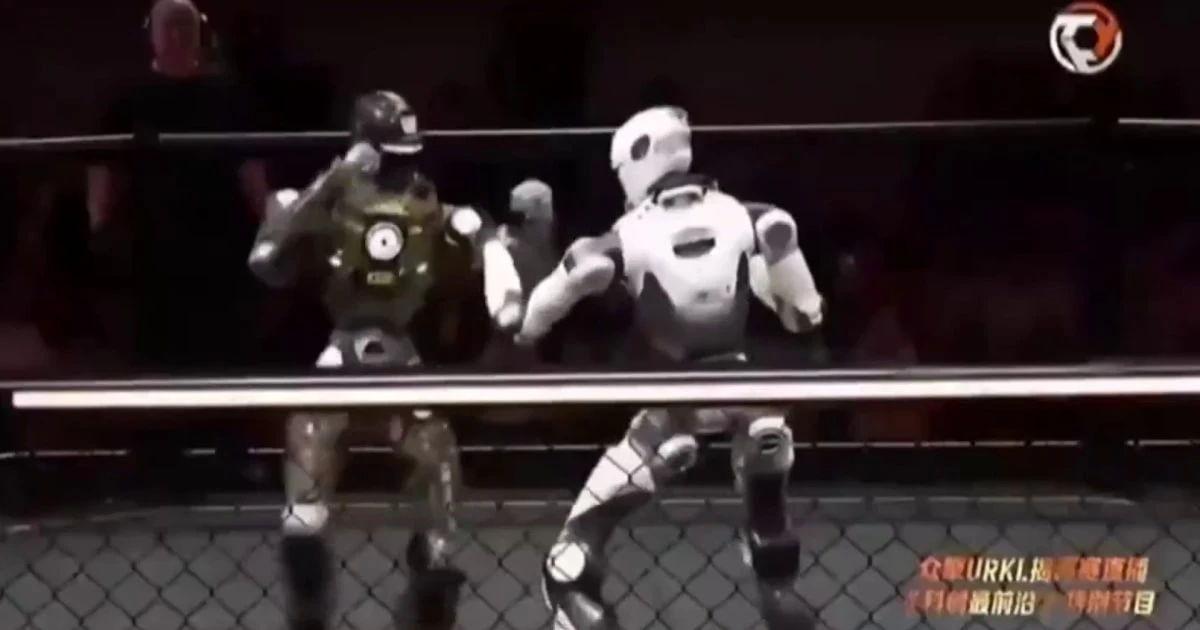 Inside the world of robot fight clubs