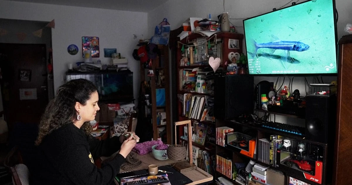 Argentinians hooked on deep sea exploration livestream