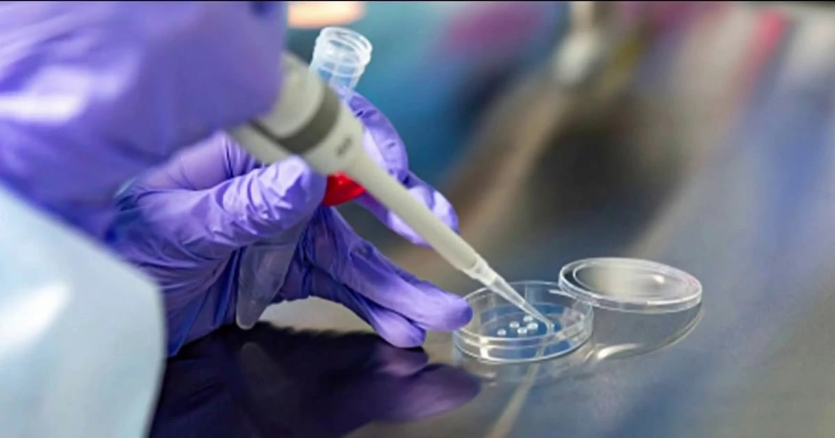 Senate Democrats push legislative package aimed at protecting IVF
