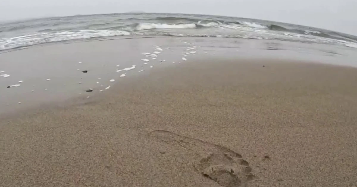 Understanding the formation of quicksand after woman recalls sinking on Maine beach
