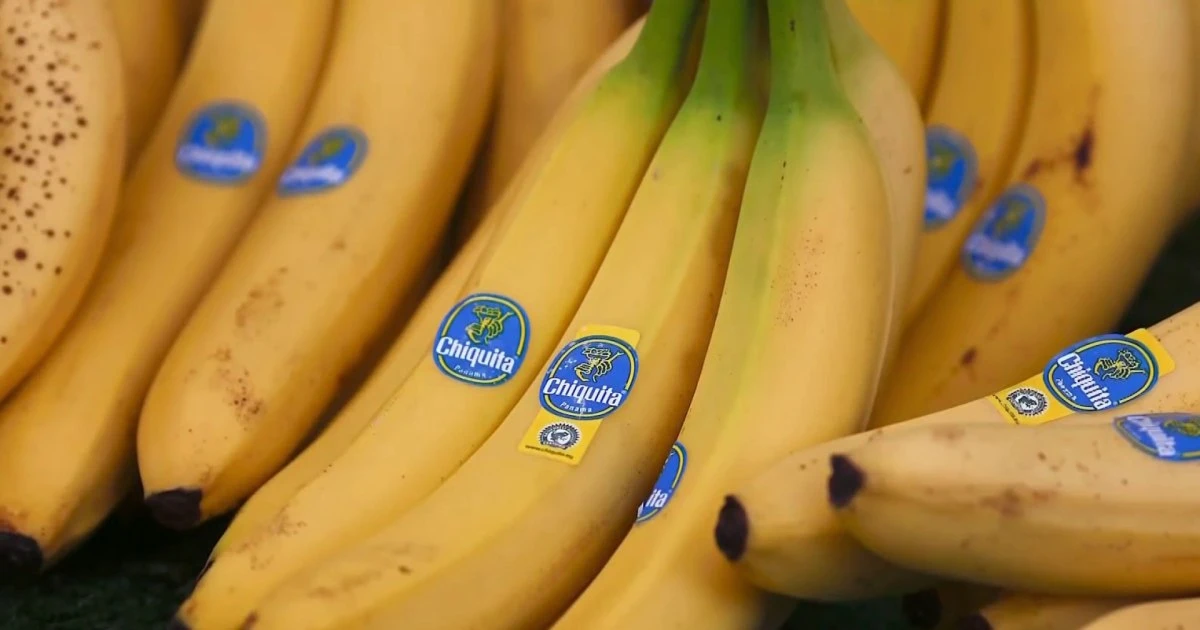 Chiquita found liable for funding paramilitary group during Colombia civil war