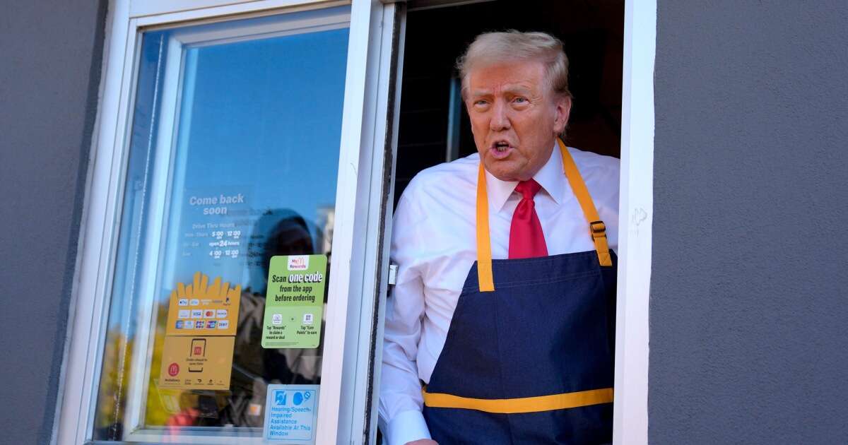 Trump works fryer at McDonalds: ‘I like this job’