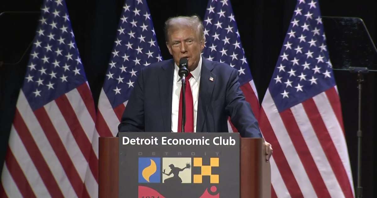 Trump says big businesses have 'raped our country'