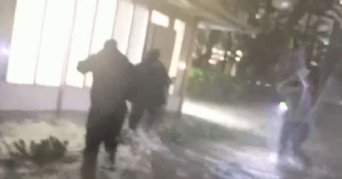 'We gotta go!': Watch NBC News' Tom Llamas seek cover from Hurricane Milton in Sarasota, Florida