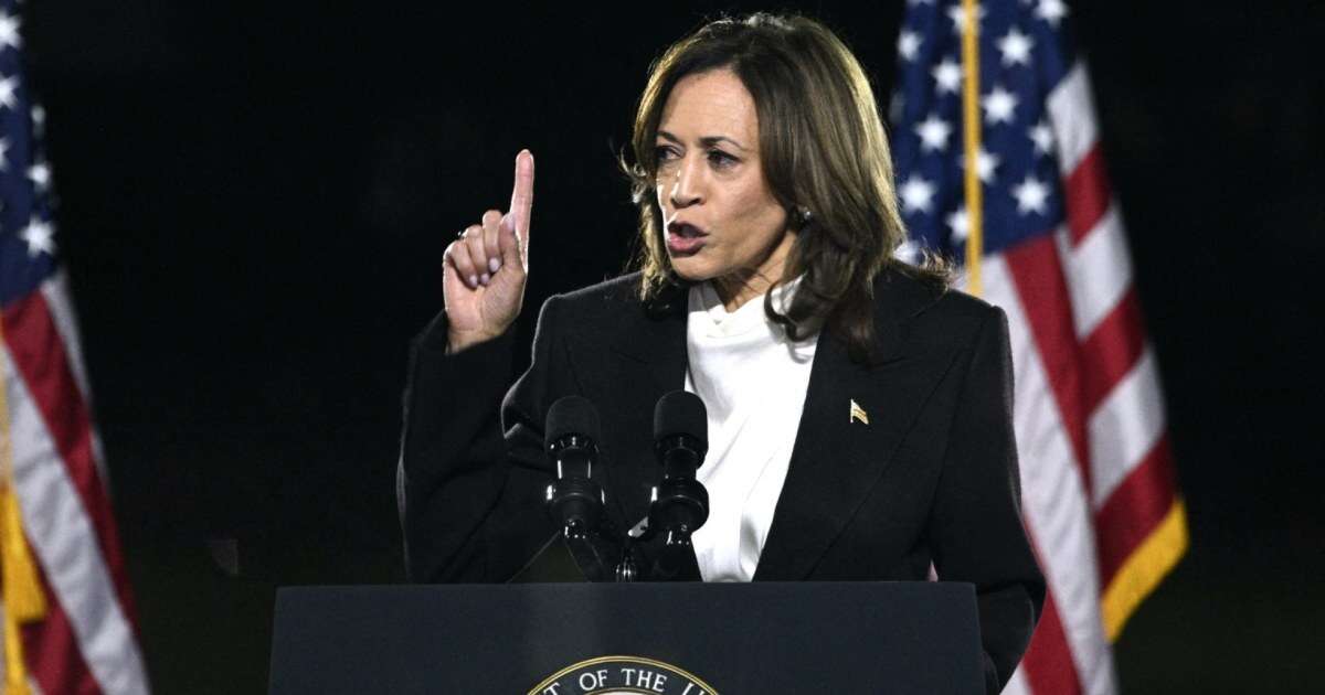 Watch Kamala Harris' full closing argument on 2024 election at D.C. Ellipse