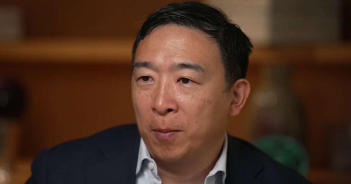 Andrew Yang makes a push for open primaries and ranked choice voting