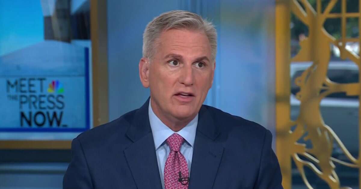 Fmr. Speaker Kevin McCarthy: DEI attacks on VP Kamala Harris are ‘stupid and dumb’