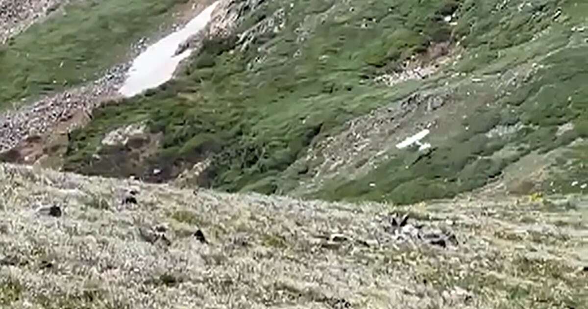 Watch: Small plane comes within feet of crashing into Colorado mountain