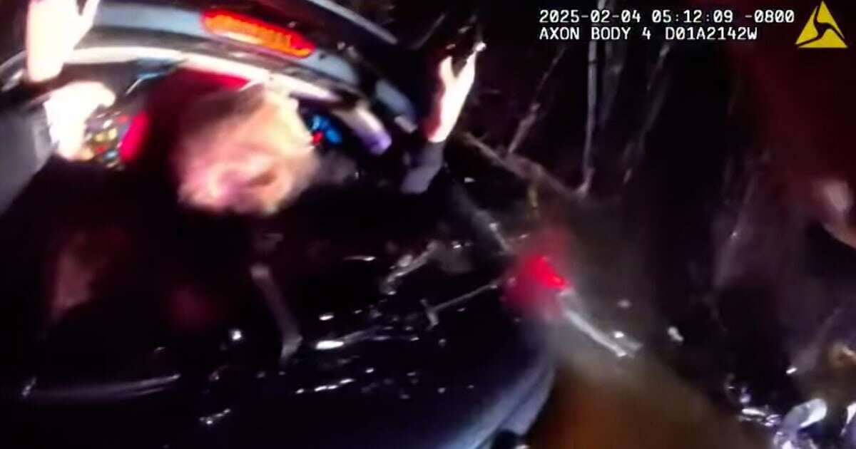 Watch: California deputy rescues driver from submerged car