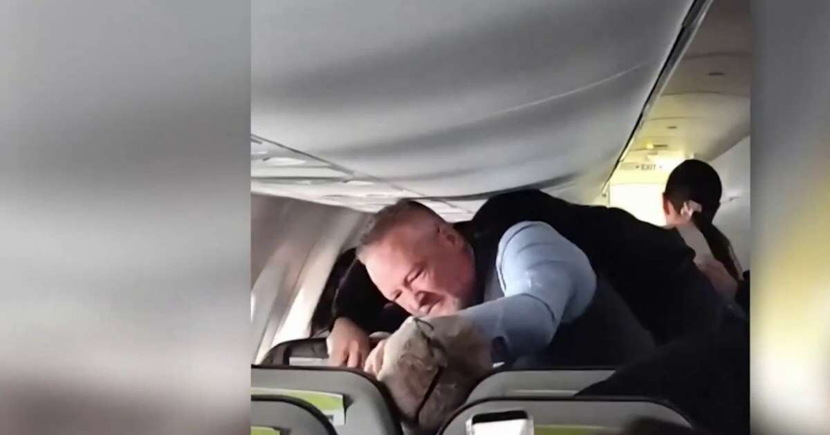 Viral video shows flight attendant punching man attacking female passenger