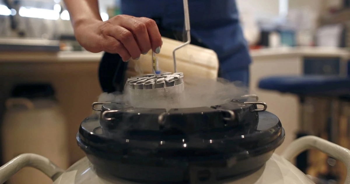 Future of fertility: Why women in their 20s are freezing their eggs