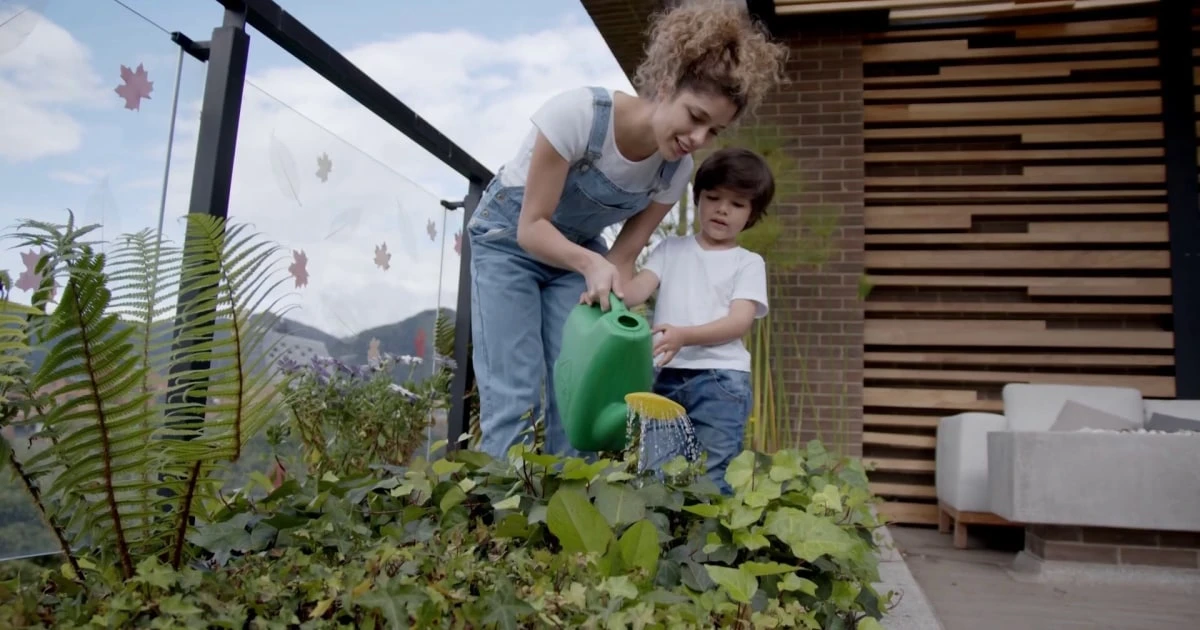 Tips for Outdoor Summer Fun: Nature Experiences, Freebies, More