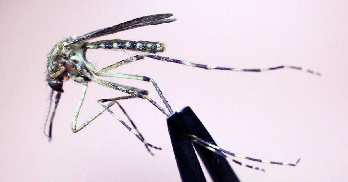 Officials stress safety following 2 more deaths linked to West Nile