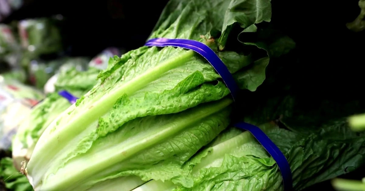 Officials Warn Stomach Bug Outbreak Could Last Through Summer