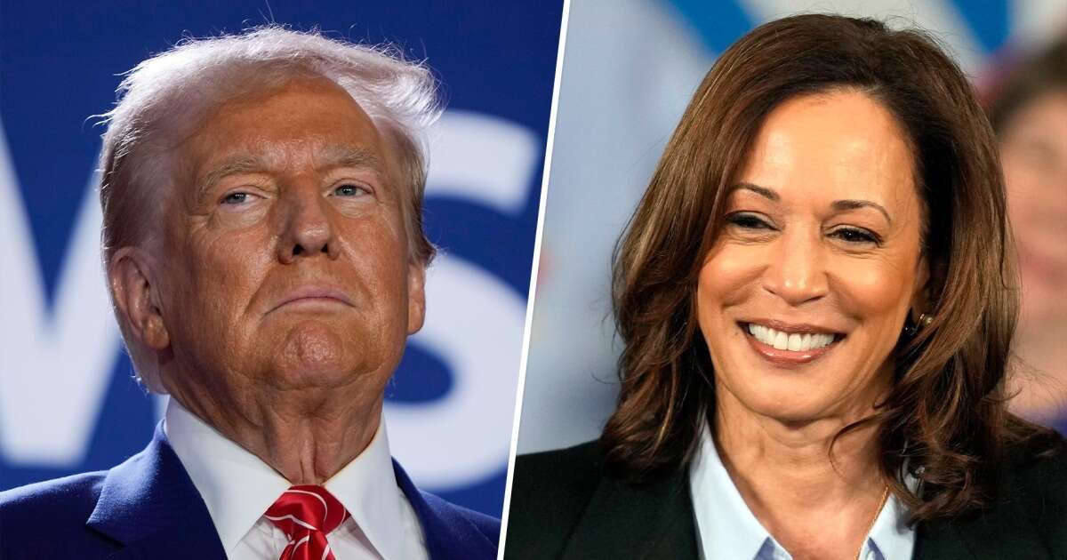 Trump dismisses national polls showing Harris outperforming him