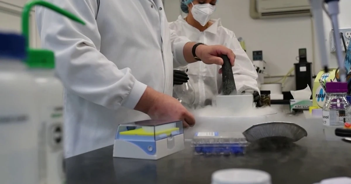 FDA Moves to Fast-Track Three Psychedelic Drugs for Review