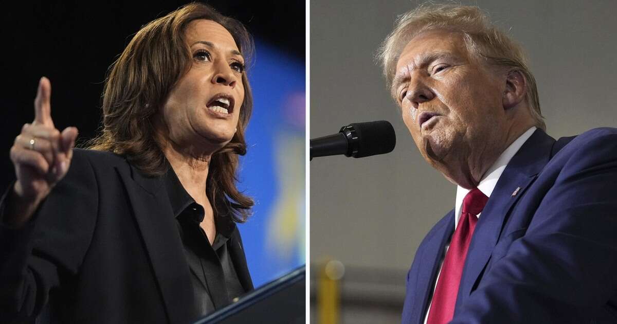 Harris goes on media blitz; Trump talks going after political rivals