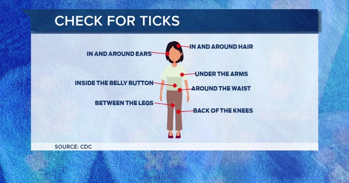 How to protect yourself from the heat, ticks, more this summer