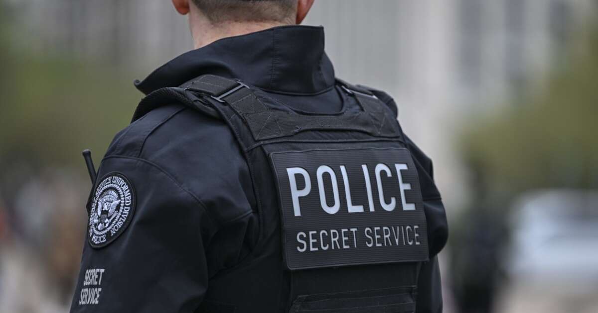 Secret Service shoots armed ‘suicidal’ man near White House