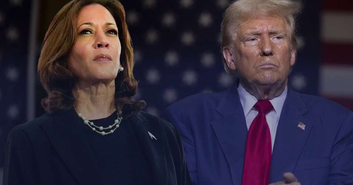 Harris polls better than Trump in key battlegrounds, within margin