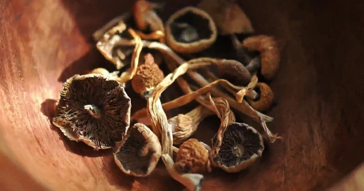 How Psilocybin May Provide Relief for Postpartum Depression