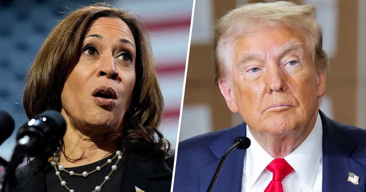 Harris, Trump go back and forth on mental acuity, fitness for office