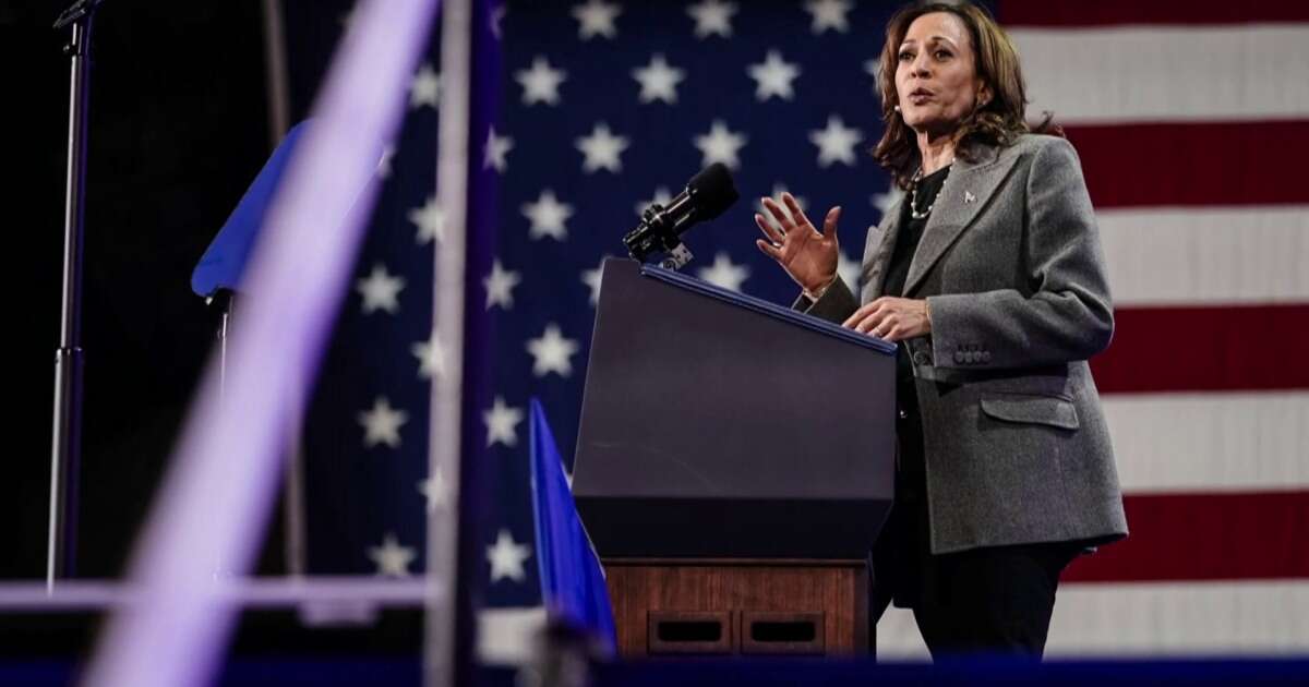 Harris makes push among divided Republicans, Black male voters