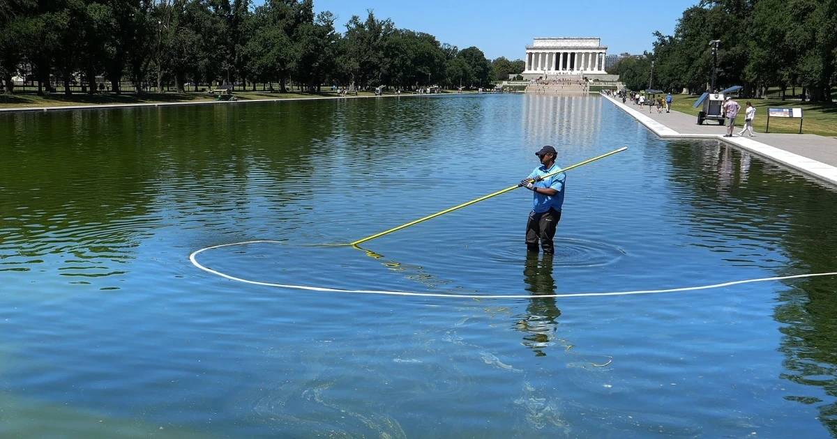 First Algae, Now the Reflecting Pool's New Paint is Peeling Away
