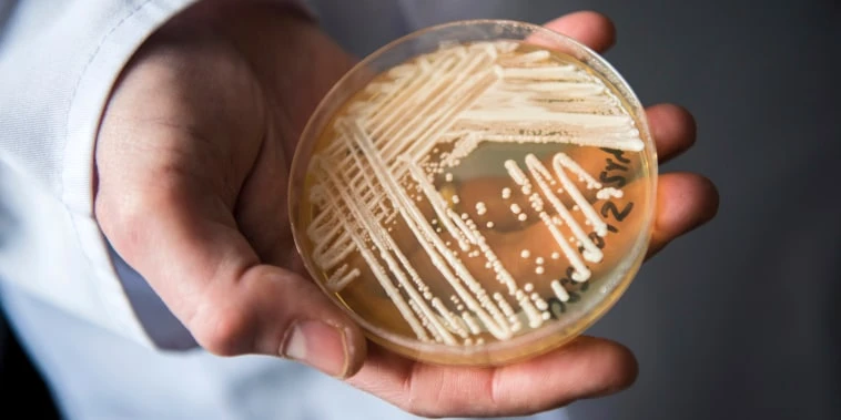 'Superbug' fungus spread in two cities, health officials say