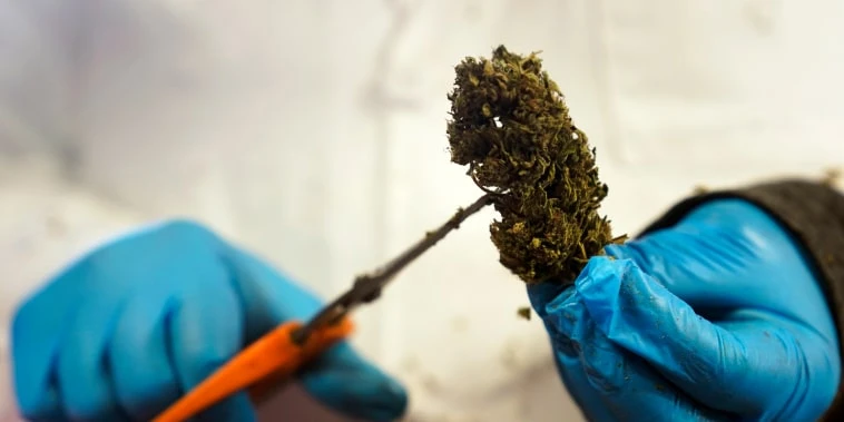 Delta-8, a legal form of THC, is sold across the country. Some states want to change that.
