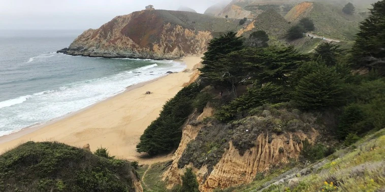 Great white shark attacks man in California