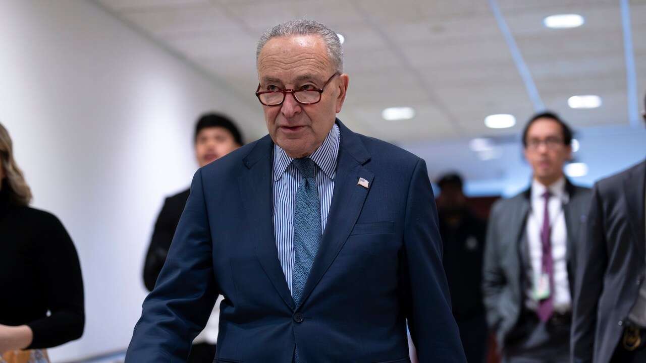 Schumer: 'MAGA hard right wants a shutdown'