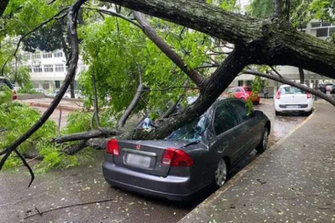 Chuva em Minas: 56 cidades estÃ£o em âalerta de perigoâ